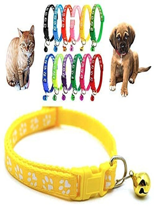 Pups&Pets Nylon 10Mm Rainbow Color Collar For Dogs, Puppies, Cat, Kittens, Rabbits Small Breed Size Animals (Pack Of 1) - Multicolor - Image 1